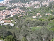 View from Castellabate